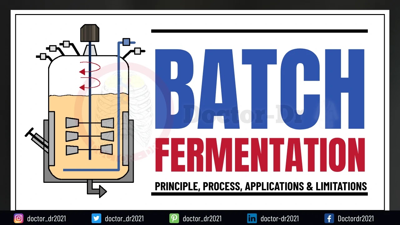 Complete Guide to Batch Fermentation & Batch Culture: Definition, Principle, Process, Applications & Limitations