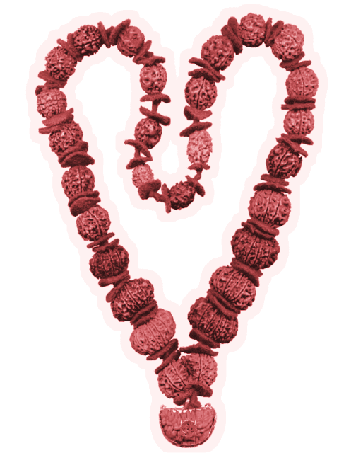 Rudralife is organizing an Exhibition cum Sale of Rudraksha