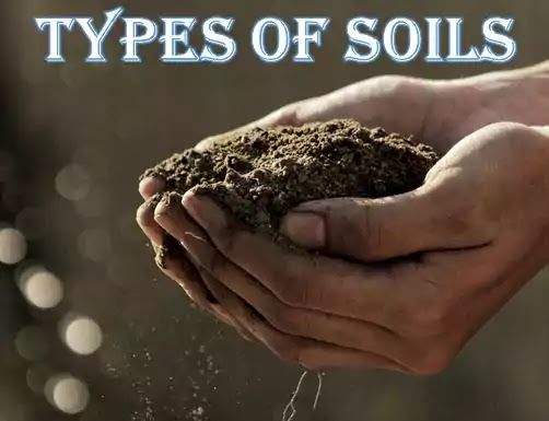 What are the types of soil?