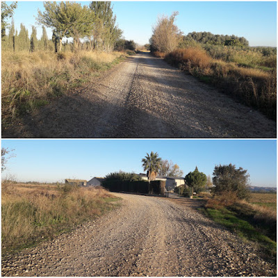 Camí de Sant Jaume de Compostela - Fuentes de Ebro a Saragossa, camí del Pilón de Gregori a la sortida de Fuentes de Ebro