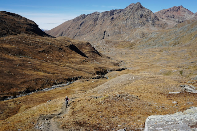 un vttae qui remonte les alpages de Grauson en direction du col d'invergnieux