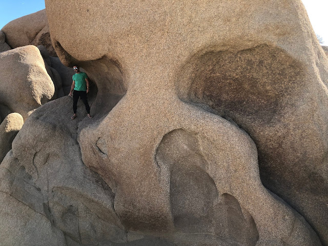 Joshua Tree National Park California