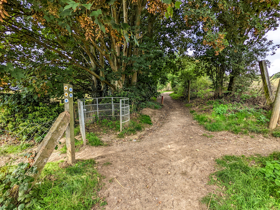 Cross the junction then head NW on Welwyn bridleway 36