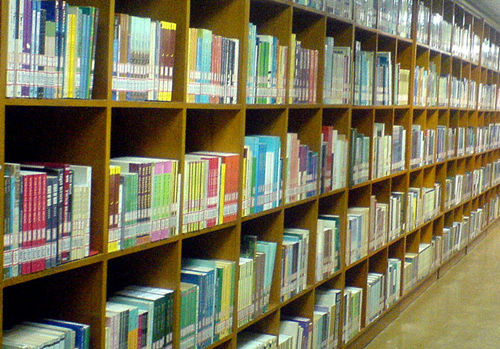 Cikgu Salmi: Kepentingan Perpustakaan