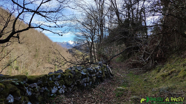 Muria bajando a la Rebollada desde el Collado Muñón