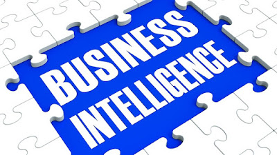  Business Intelligence Systems