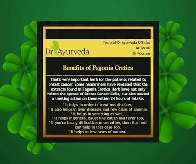 Benefits of Fagonia Cretica Herb by Dr Ayurveda Official