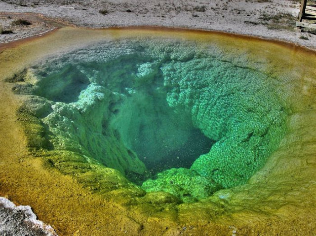 Morning Glory Pool