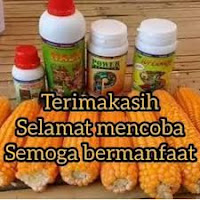 agen pupuk nasa 082213946507