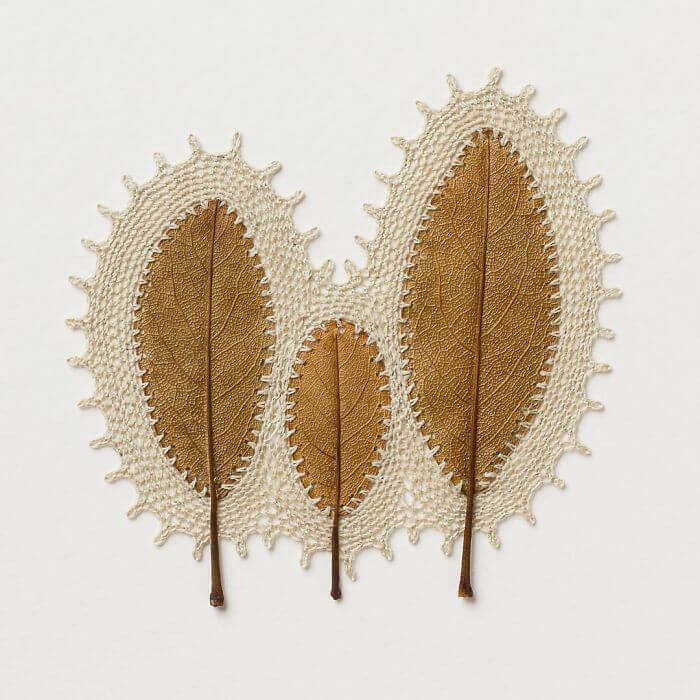 Crocheter Transforms Dried Leaves Into Works Of Art