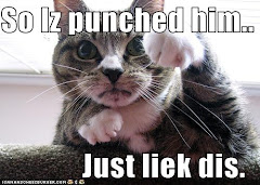 Funny Cat Punches