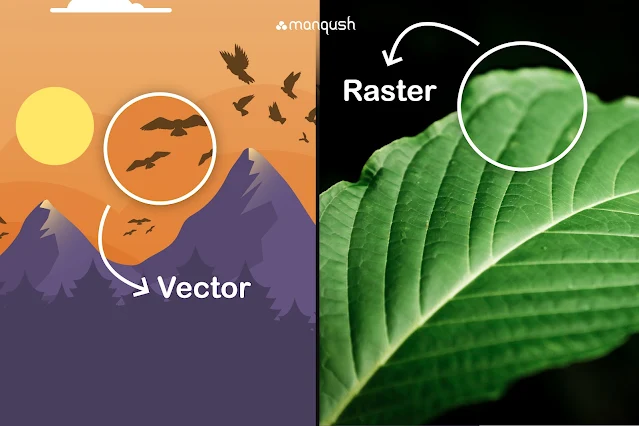 What is the difference between vector and Raster images