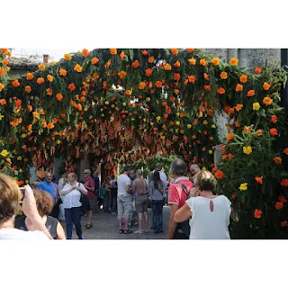 Festa di Santa Croce, la festa dei fiori