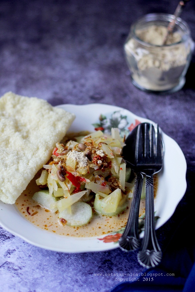 LONTONG SAYUR PEPAYA MUDA - Catatan-Nina  Aneka Resep 