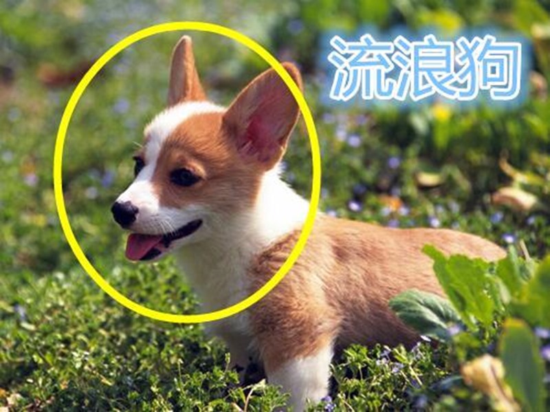 clip_image004