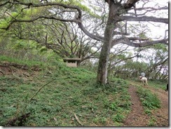 kualoa 15