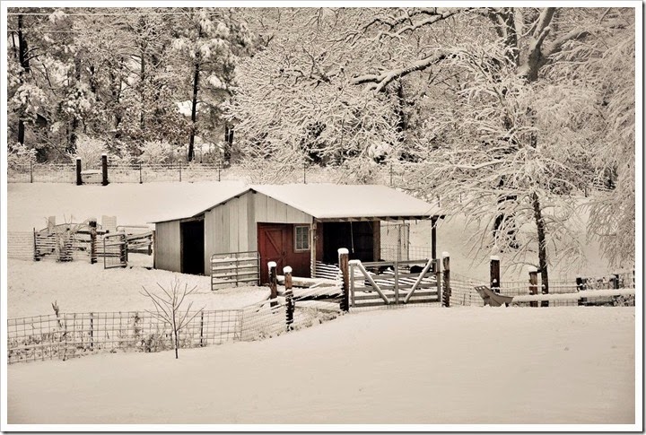 barn-classic vintage