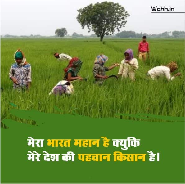 Farmer Status In Hindi