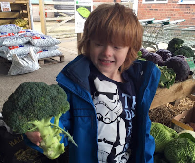 Jack choosing broccoli at Moorhouse Farm Shop near Stannington, Morpeth, Northumberland