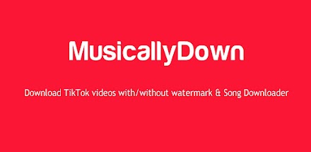 MusicallyDown TikTok Video Downloader - Steps To Use