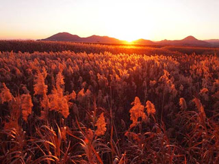 Sunset in Suncheon Bay