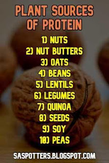 List of plant protein foods