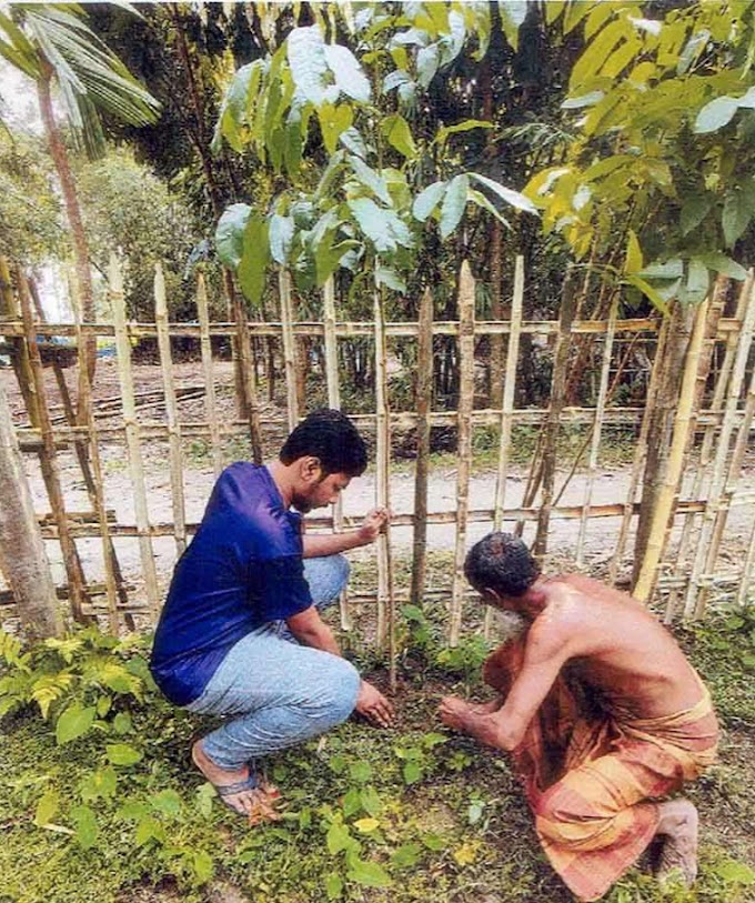 জুলাই  বিপ্লবে শহীদদের শ্রদ্ধায় বৃক্ষরোপণ কর্মসূচি