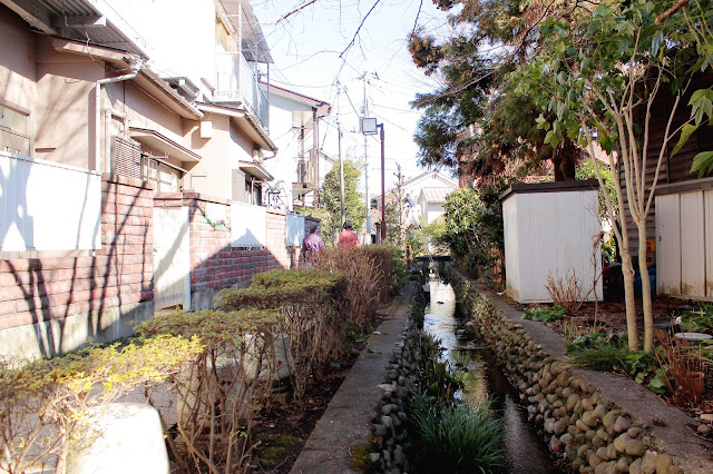 大地が切れてる？武蔵野大地が作り出した朝霞団地の不思議な光景【c】