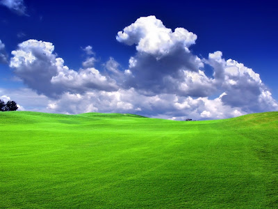 HD Grass Wallpapers