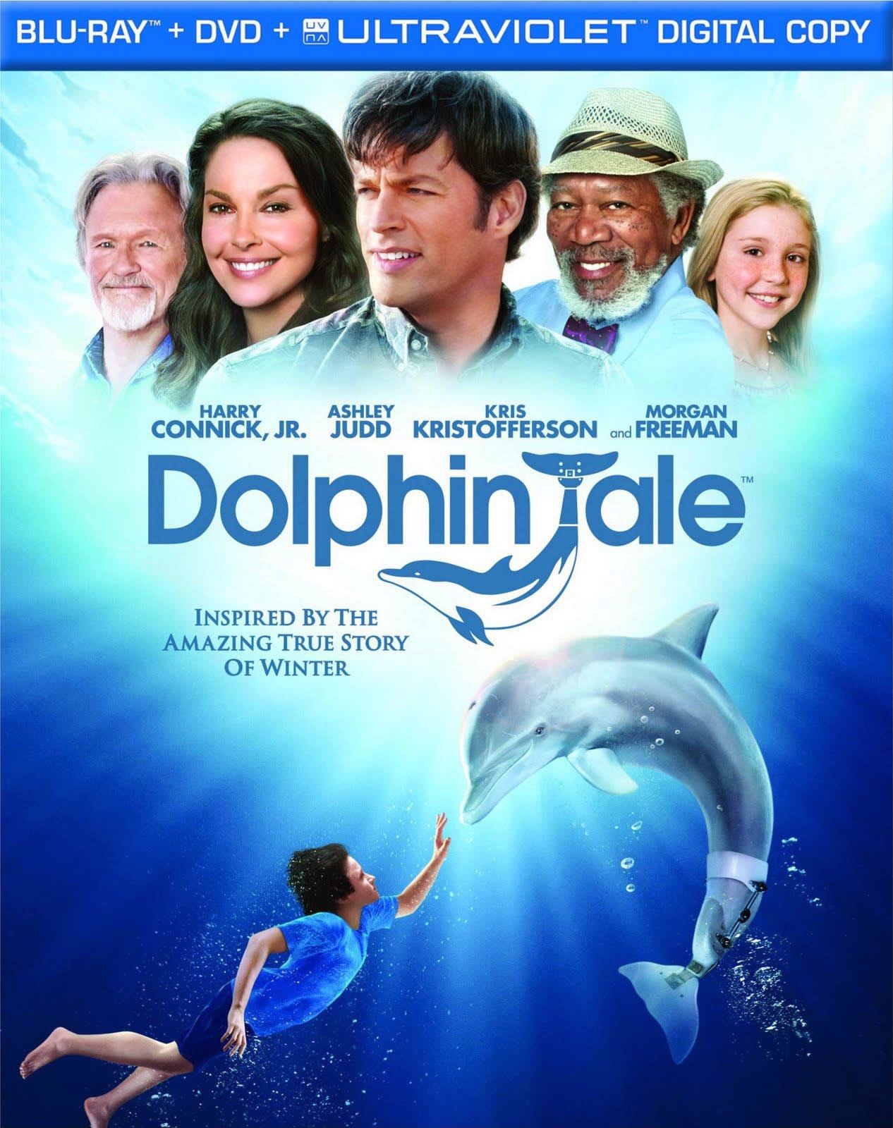 View from the Domestic Church: Movie trailer right here ...