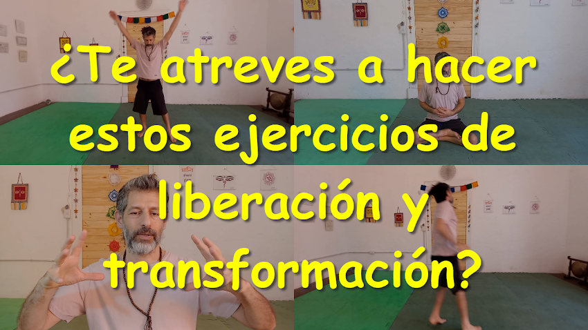 Video: ¿Te atreves a hacer estos ejercicios de liberación y transformación?