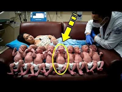 The Shocking Truth Behind a Mother’s 10 Babies One Wasn’t Human!