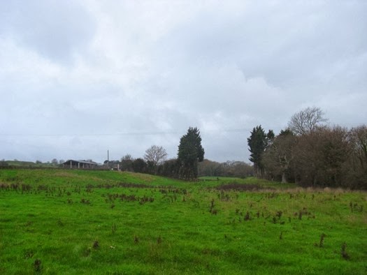 The penultimate field in the earthworm project