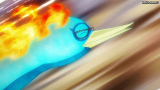 ワンピースアニメ 1014話 不死鳥マルコ かっこいい Marco the Phoenix | ONE PIECE Episode 1014