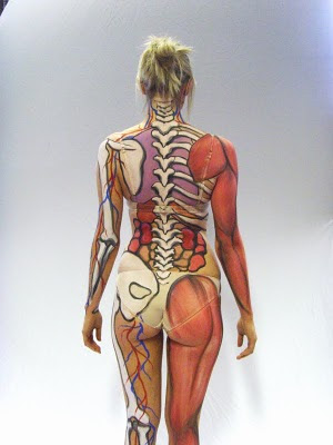 Best Art Body Painting, Skeletal On The Back