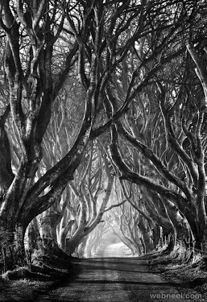  Best Black and White Photography 