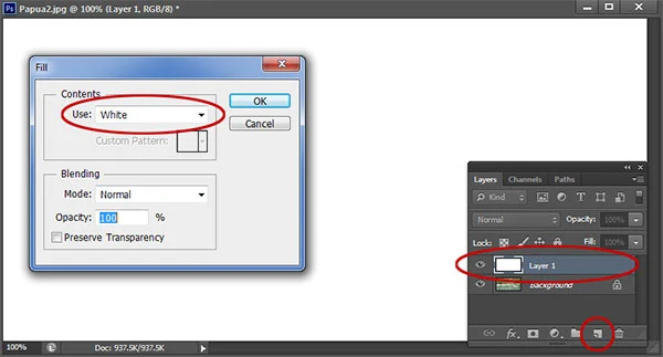 Klik icon Create a new layer kemudian Fill dengan warna putih
