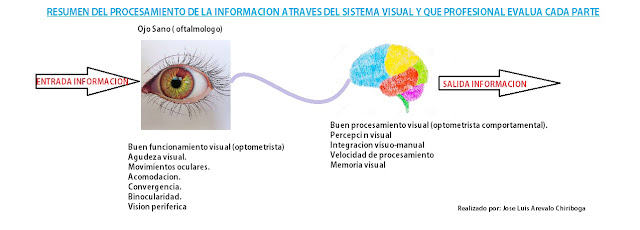 Entrada Información Ojo Cerebro Salida Información