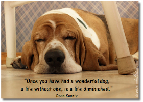 Bentley Basset Hound meme "Once you have a wonderful dog" 
