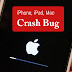 Watch Out! This Novel Spider Web Exploit Tin Laissez Passer On The Sack Crash In Addition To Restart Your Iphone