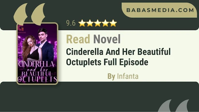 Cover Cinderella And Her Beautiful Octuplets Novel By Infanta