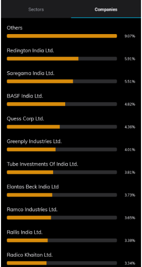 Companies under Tata Small Cap Fund Direct Growth