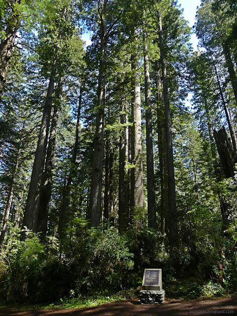 30: plaque and trees