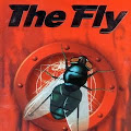 Lirik Lagu The Fly - Sang Penyelamat