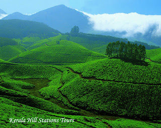 Kerala Hill Stations Tours 