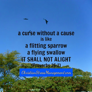 A curse without a cause is like a flitting sparrow, a flying swallow it shall not alight. (Proverbs 26:2)