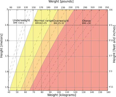 bmi chart