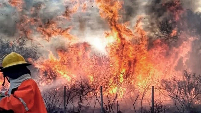 Seis provincias continúan con focos activos de incendios forestales