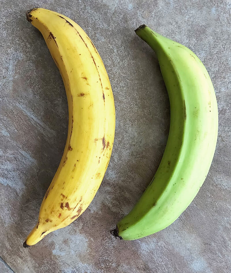 Pictures of two plantains, one green one and a ripe one prior to boiling.