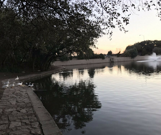 arboretum austin duck pond